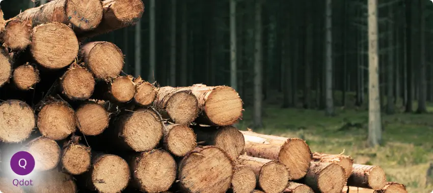 Trusted ISO Certification Consultancy Experts In UAE, Dubai, Abu Dhabi, Sharjah